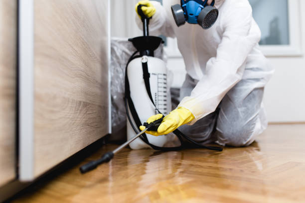 Pest Prevention Services in Port St Joe, FL