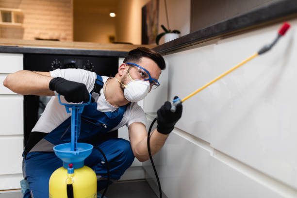 Best Affordable Pest Control Services  in Port St Joe, FL