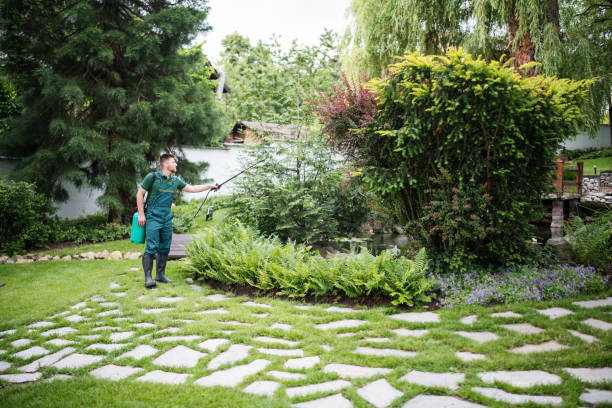 Best Local Pest Control Services  in Port St Joe, FL