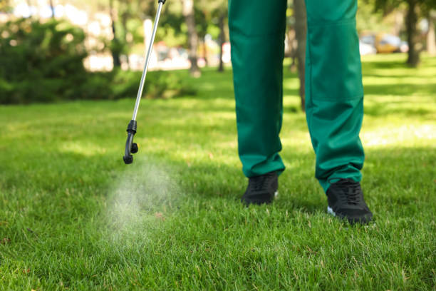 Port St Joe, FL Pest Control Company