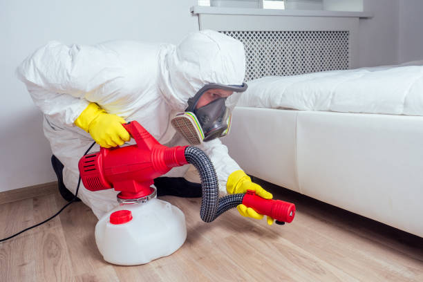 Best Termite Control Services  in Port St Joe, FL