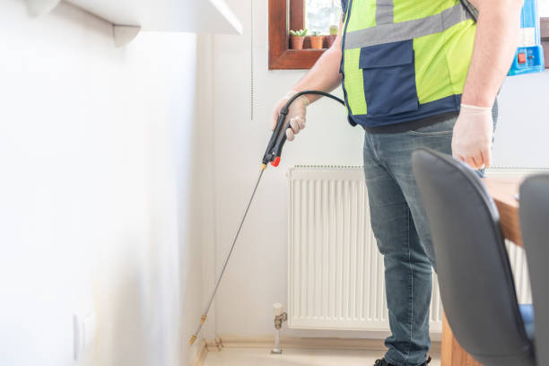 Best Termite Control Services  in Port St Joe, FL