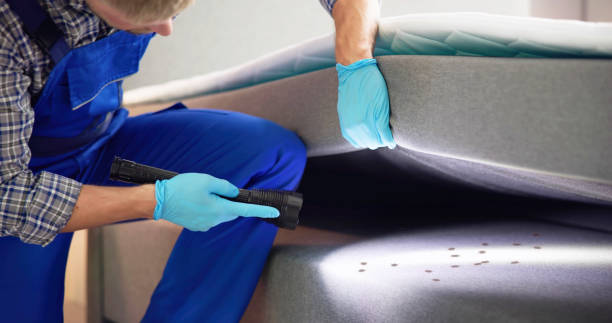 Best Pest Removal Services  in Port St Joe, FL