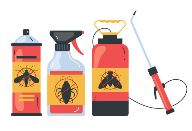 Best Flea Control Services  in Port St Joe, FL