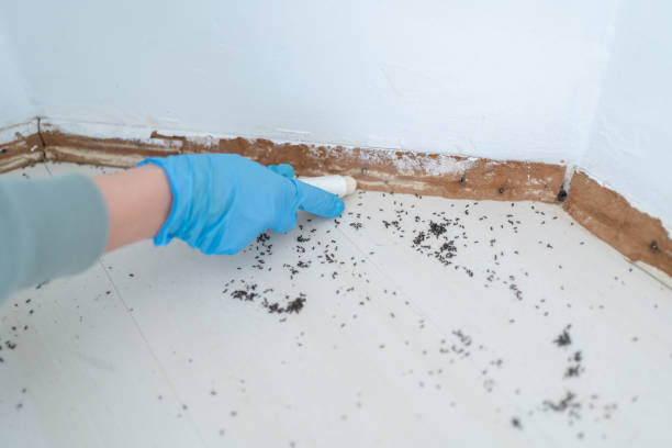 Wildlife Control Services in Port St Joe, FL